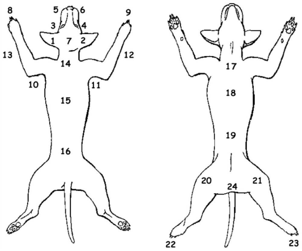 Veterinary amitraz solution synergist and preparation method thereof