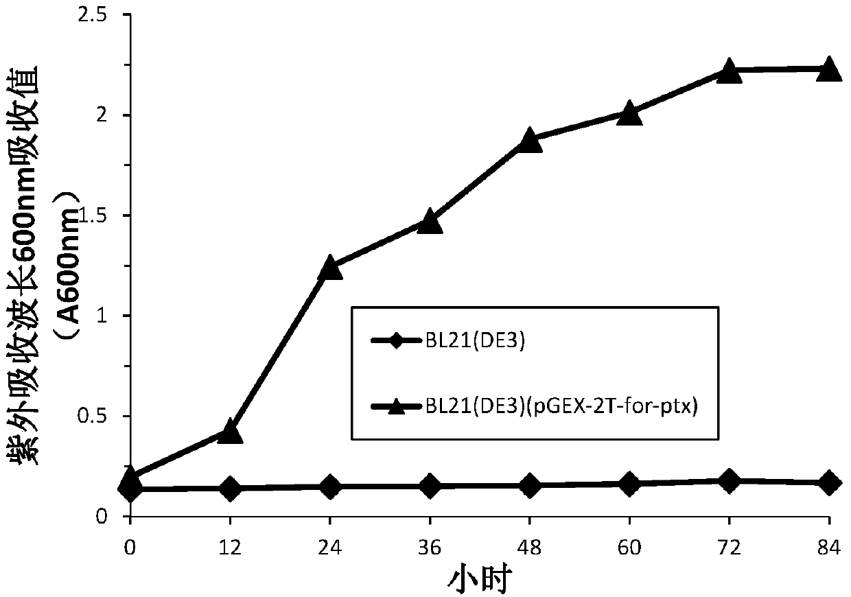 Recombinant escherichia coli expressing formamidase and phosphite dehydrogenase fusion protein, construction method and application thereof