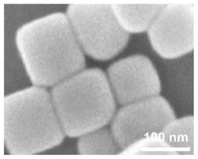 Bismuth/barium titanate heterojunction for enhancing sonodynamic tumor resistance and preparation method thereof