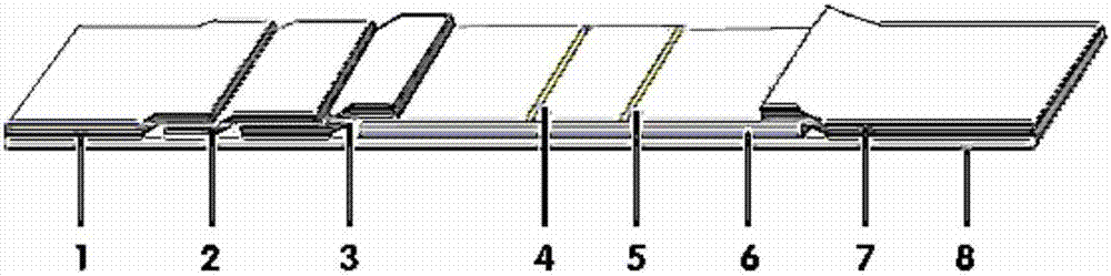 Two-photon fluorescence immunochromatographic kit for quantitative determination of pro-gastrin-releasing peptide (pro-GRP) and preparation method thereof