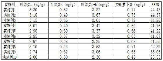 Ionic rare earth tailing treatment method based on biogas engineering