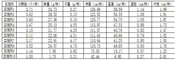 Ionic rare earth tailing treatment method based on biogas engineering