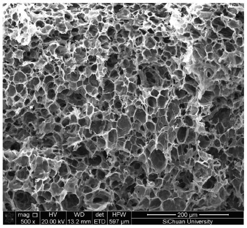 Biodegradable polylactic acid foamed particles and preparation method thereof