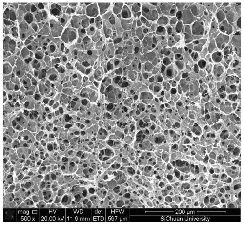 Biodegradable polylactic acid foamed particles and preparation method thereof