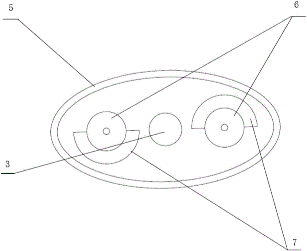 Eccentric rolling vibration mechanism for picking wolfberry fruit