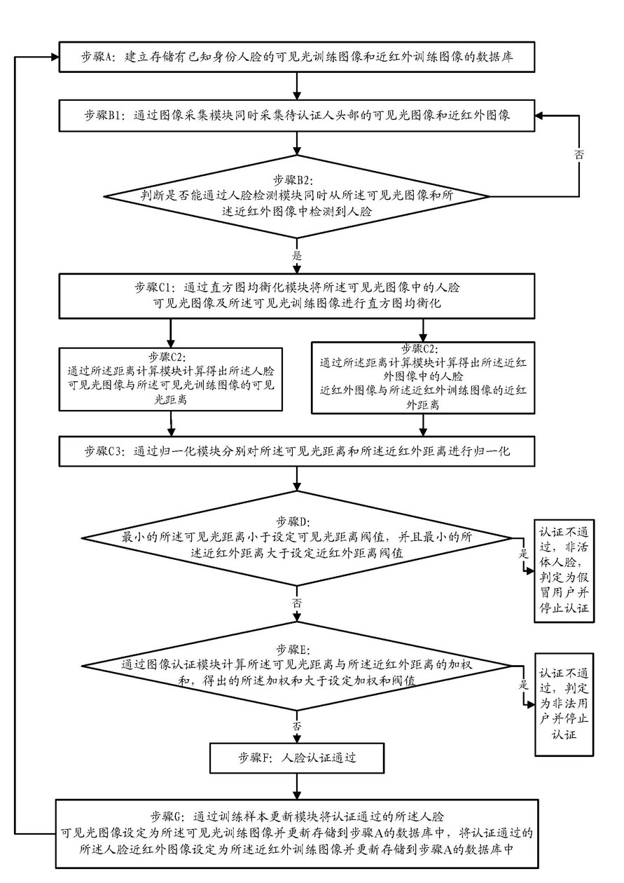 Bimodal face authentication method with living body detection function and system