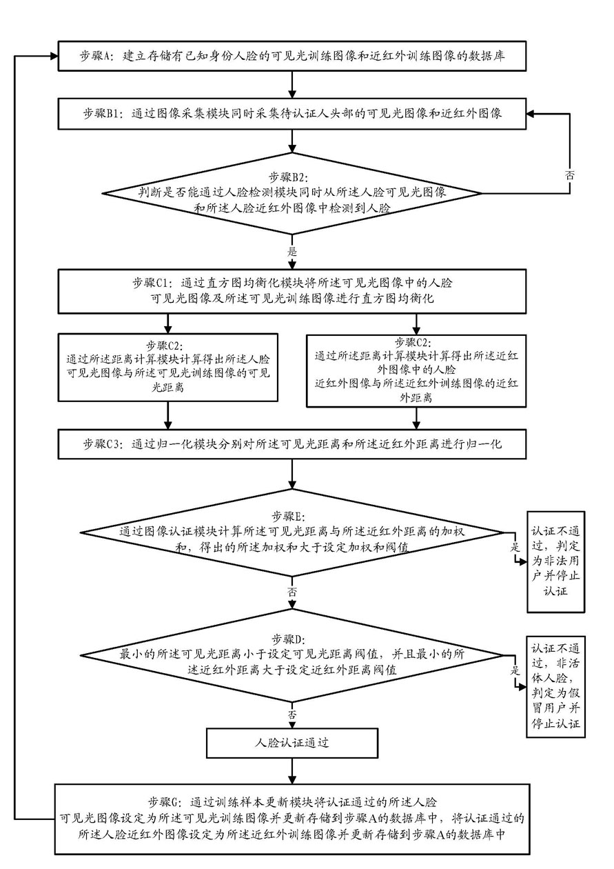 Bimodal face authentication method with living body detection function and system