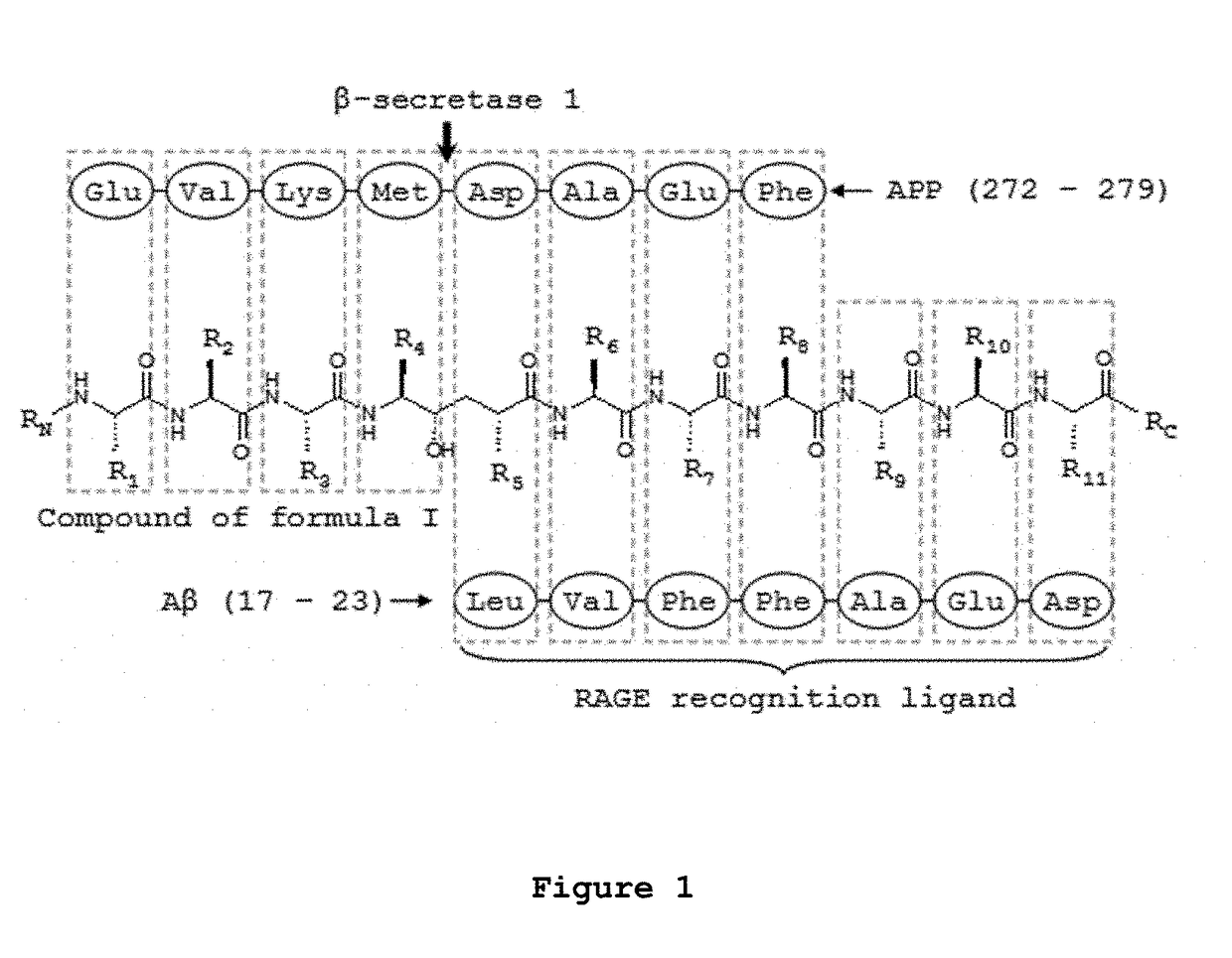 Brain permeant peptidomimetic beta-secretase 1 inhibitors for the treatment or prophylaxis of neurological disorders or conditions