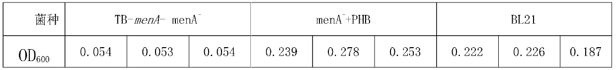 Application of Orciprenaline in antibacterial drugs and method for screening antibacterial drugs