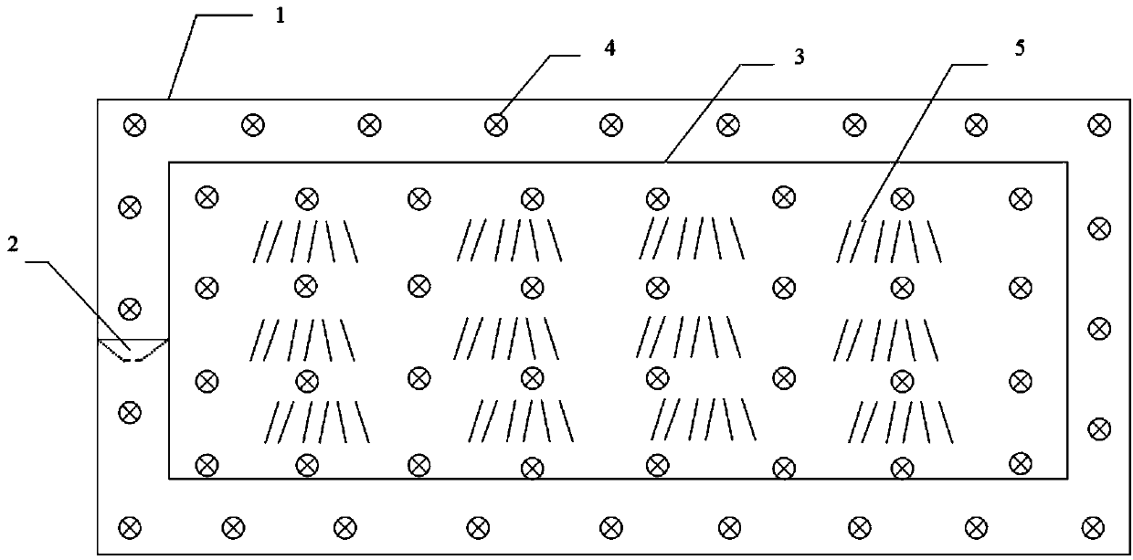 Method for breeding procambarus clarkii spring seedlings in pond