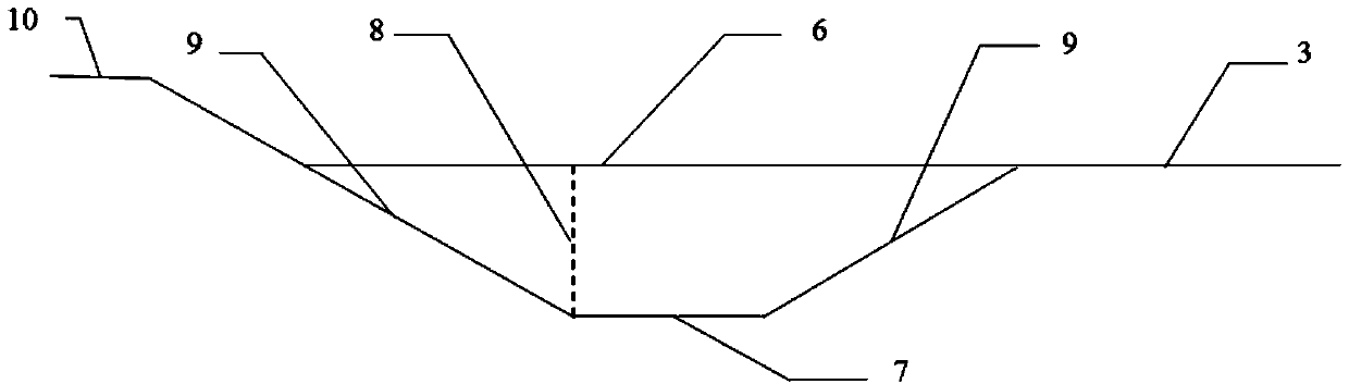 Method for breeding procambarus clarkii spring seedlings in pond