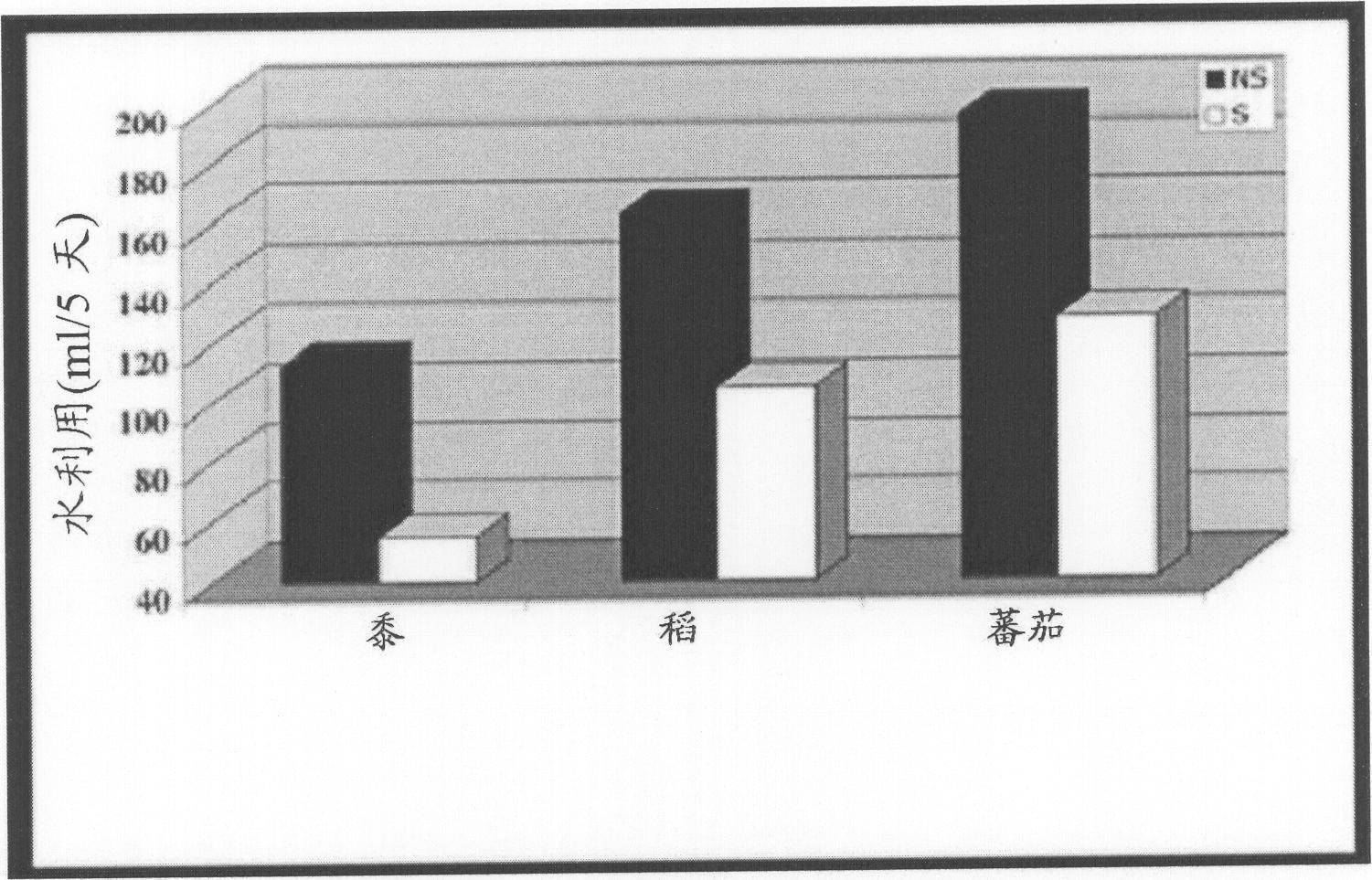 Fungal isolates and their use to confer salinity and drought tolerance in plants