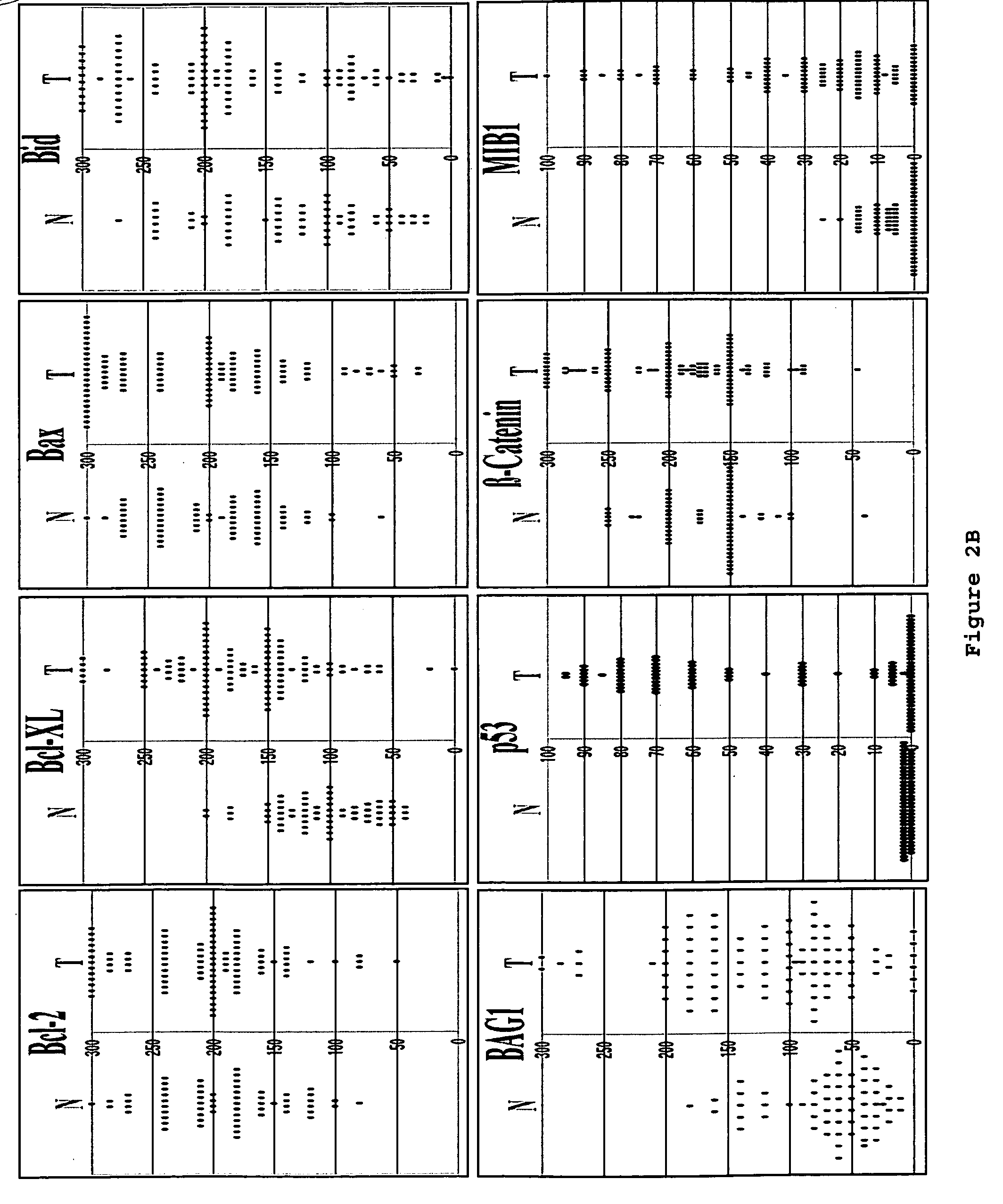 Methods for determining the prognosis for cancer patients using tucan