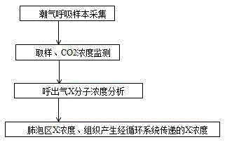 Measuring method for concentration of gas molecules from respiratory and circulatory system in expired gas