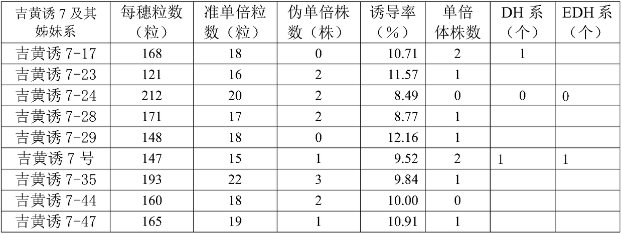 Breeding method for carrying out seed selection on corn early doubled haploid by yellow-green seedling marker