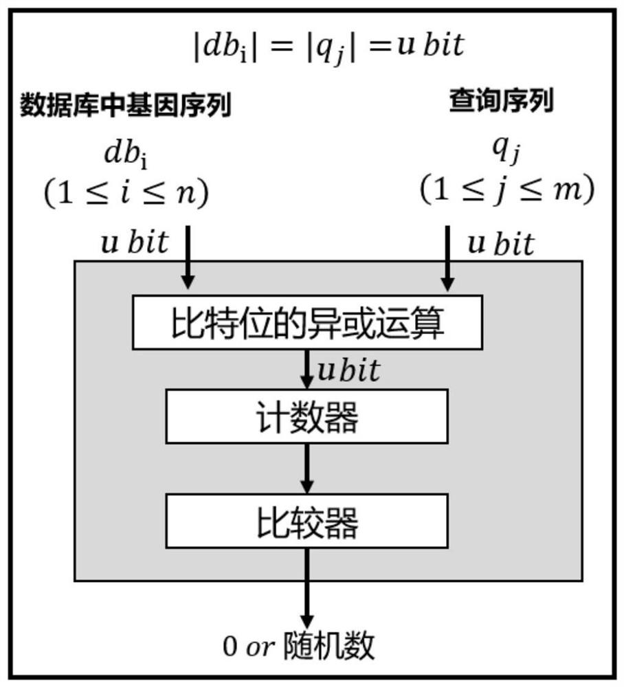 Gene sequence security comparison method and system supporting multi-attribute anonymous authentication