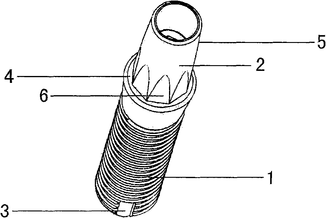 Zirconium oxide tooth implantation system