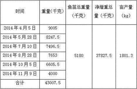 Intensive pond farming breeding method for tilapia mossambica