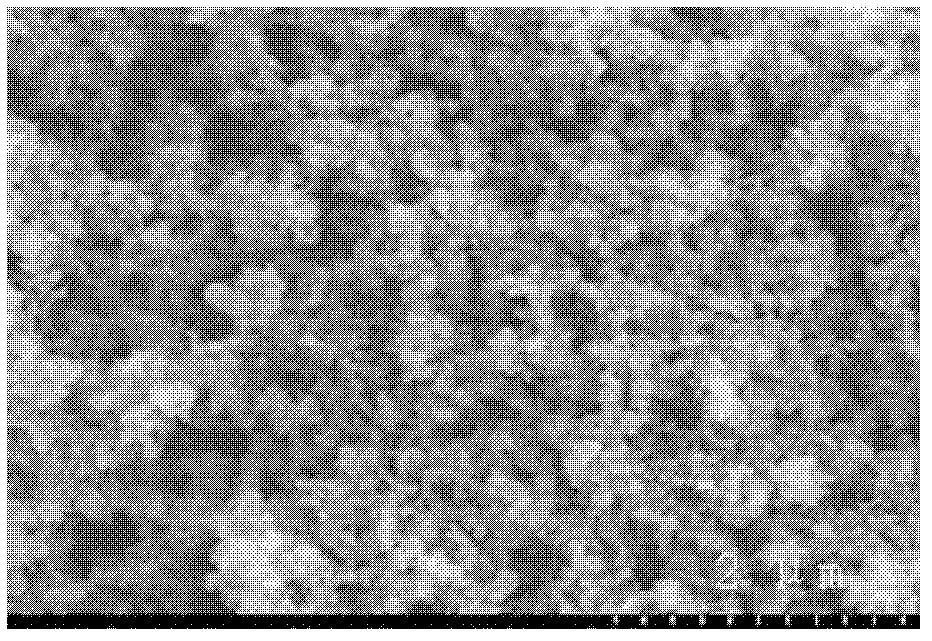 Lithium ion battery composite negative electrode material, its preparation method, negative electrode with application of material thereof and lithium ion battery