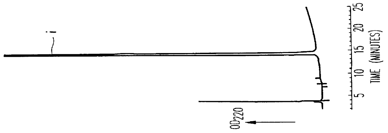 Modification of peptide and protein