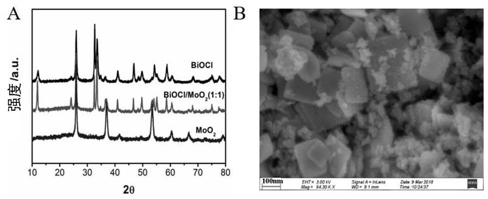 A biocl/moo  <sub>2</sub> Composite catalyst and its preparation method and application