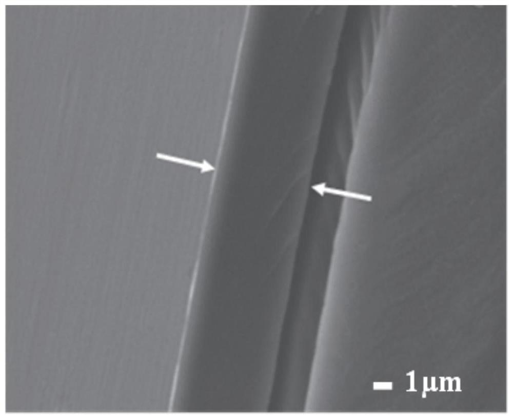 Application of non-release type antimicrobial adhesion coating in antibacterial pipe