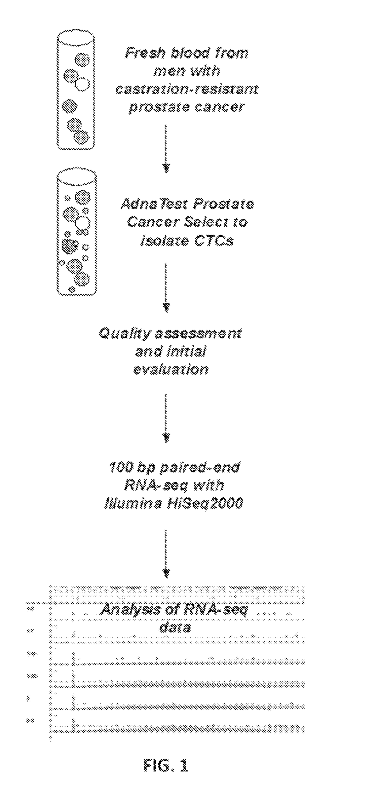 Methods for identifying androgen receptor splice variants in subjects having castration resistant prostate cancer