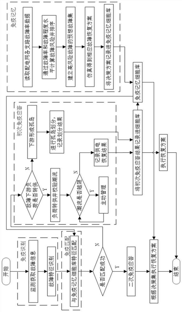 Intelligent power distribution network fault recovery method based on organism immune mechanism