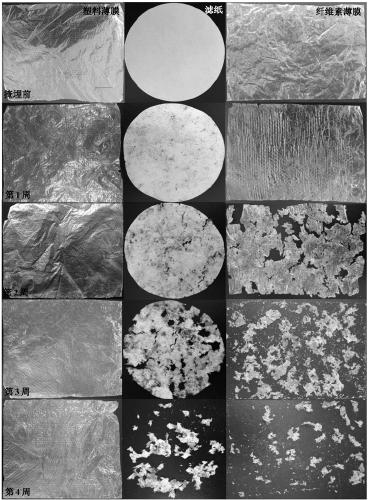 A kind of preparation method and application of banana cellulose film