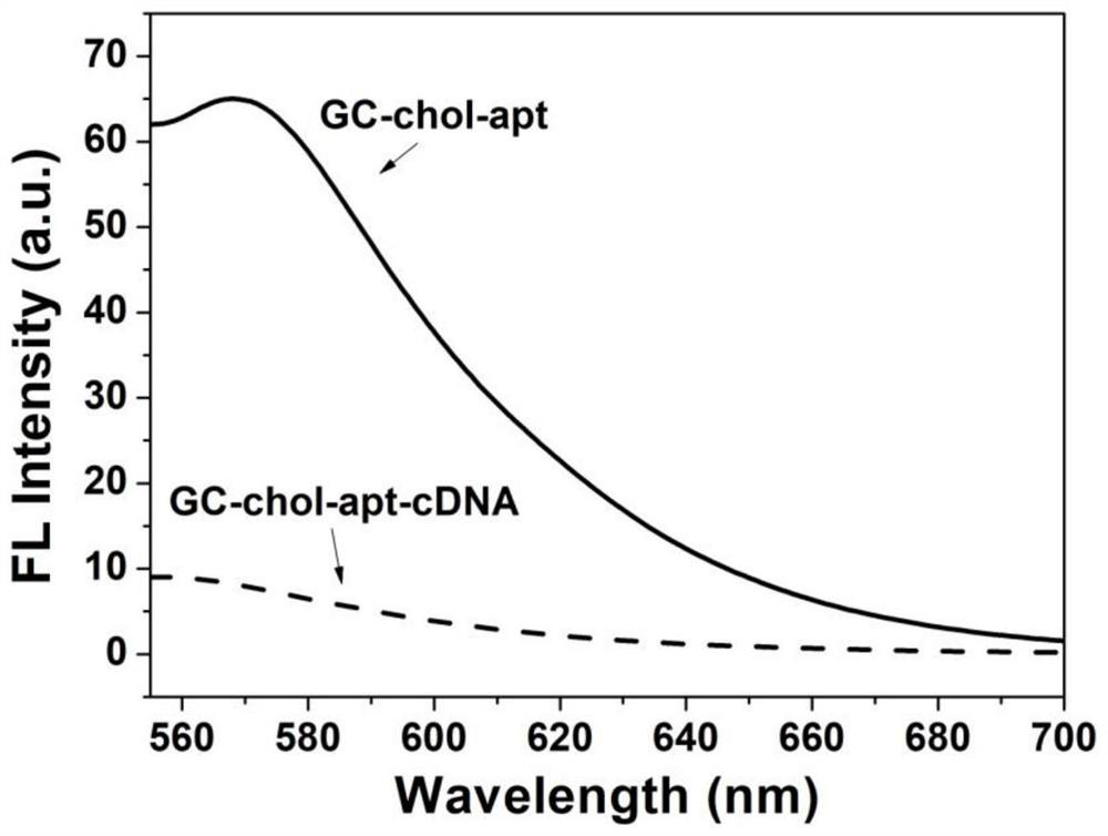 Nano probe used for nucleolin cross-linking to induce tumor cell apoptosis, and preparation method and application of nano probe