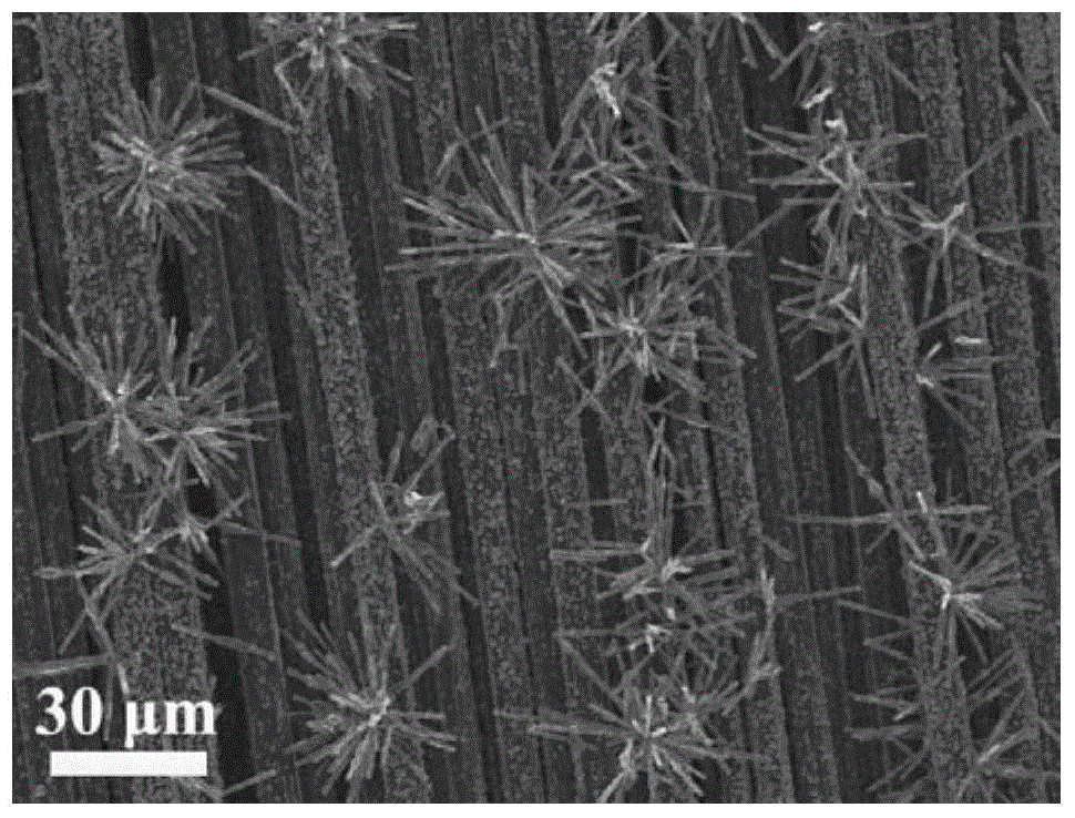 A kind of preparation method of N-doped SIC nanoneedle flexible field emission cathode material