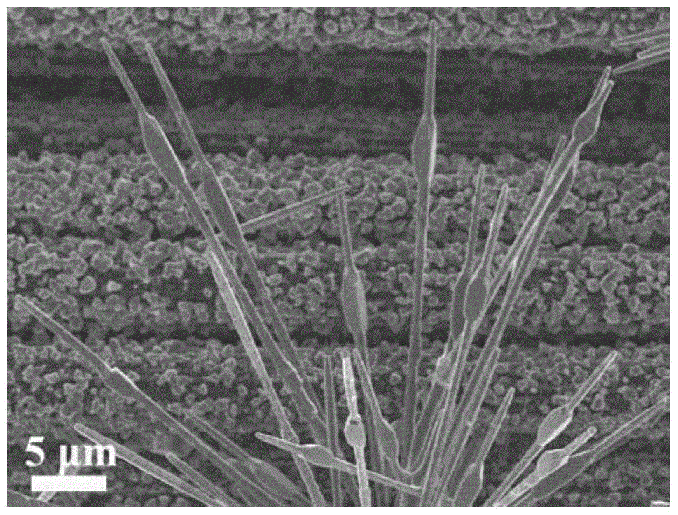 A kind of preparation method of N-doped SIC nanoneedle flexible field emission cathode material