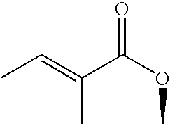 Hoodia extract oil compositions comprising medium chain triglycerides