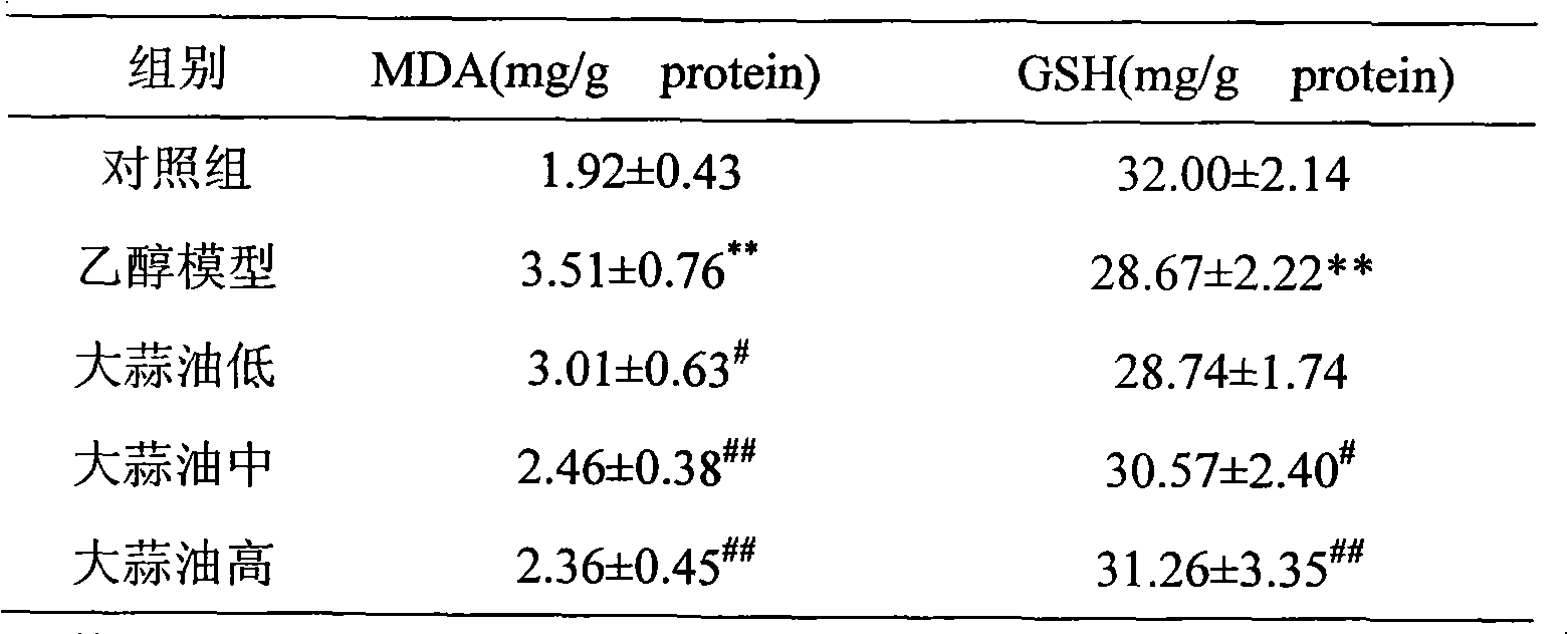 Use of garlic oil in preparing medicine against acute alcoholic fatty liver