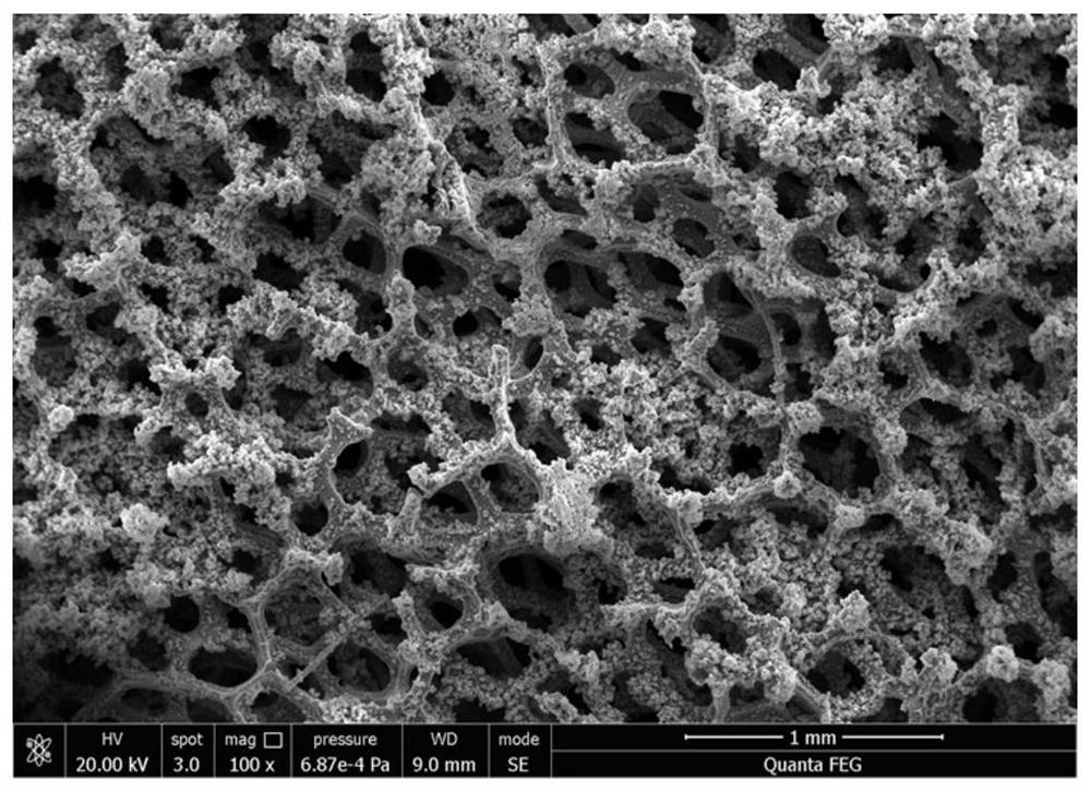 Preparation method and application of polyionic liquid functionalized cobalt-nitrogen loaded foamed nickel composite material