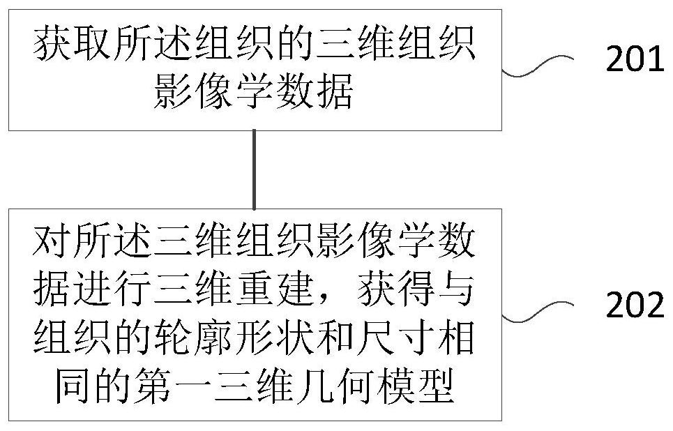 Method for preparing tissue model with cavity structure and tissue model