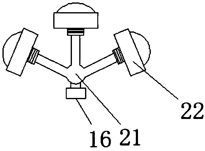 Oblique irrigation apparatus used for growth of blueberries