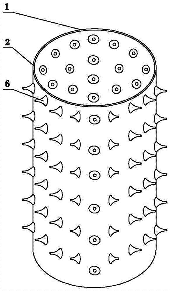 A method for promoting rooting and seedling growth of woody plants