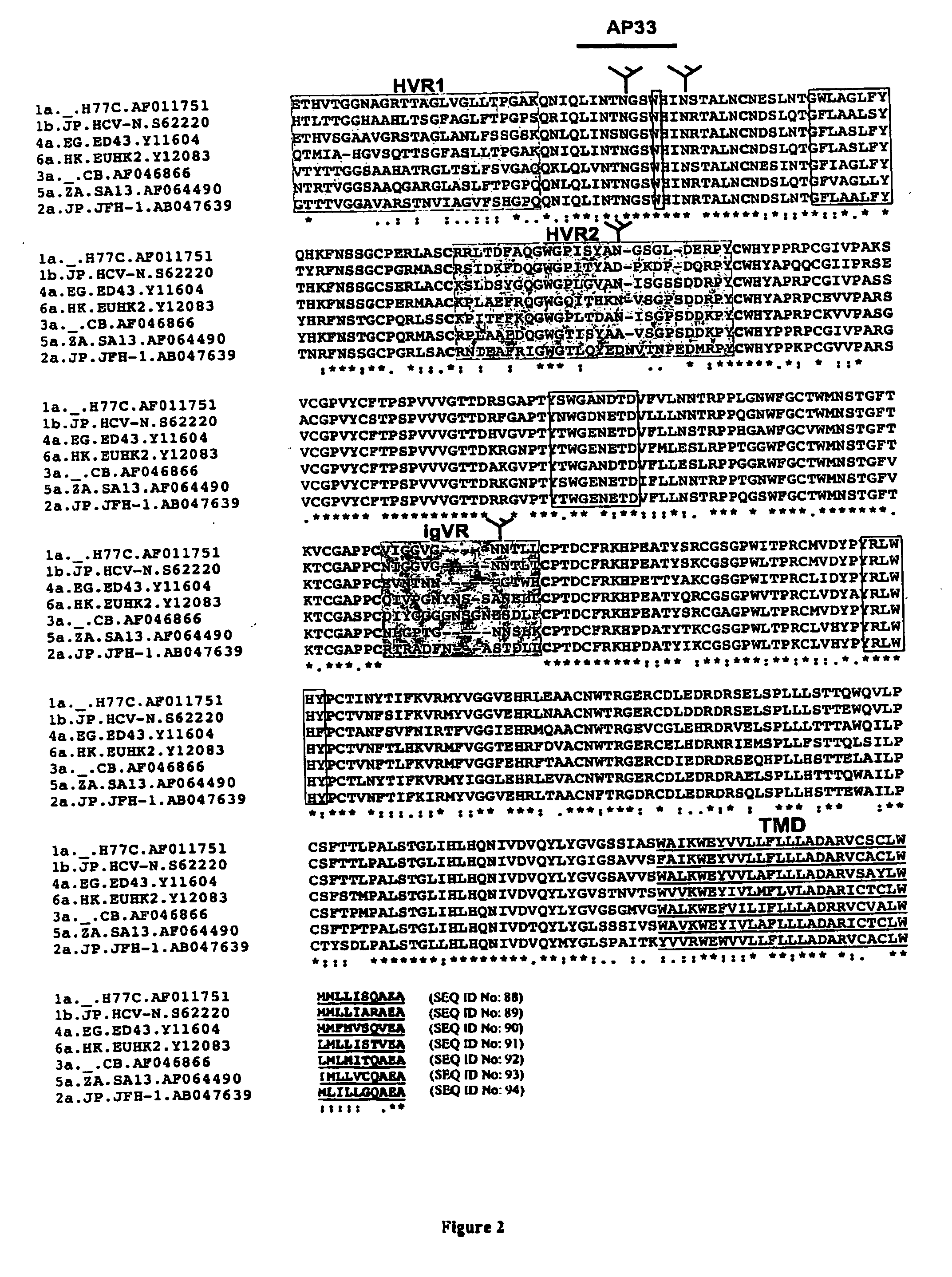 Recombinant hcv e2 glycoprotein