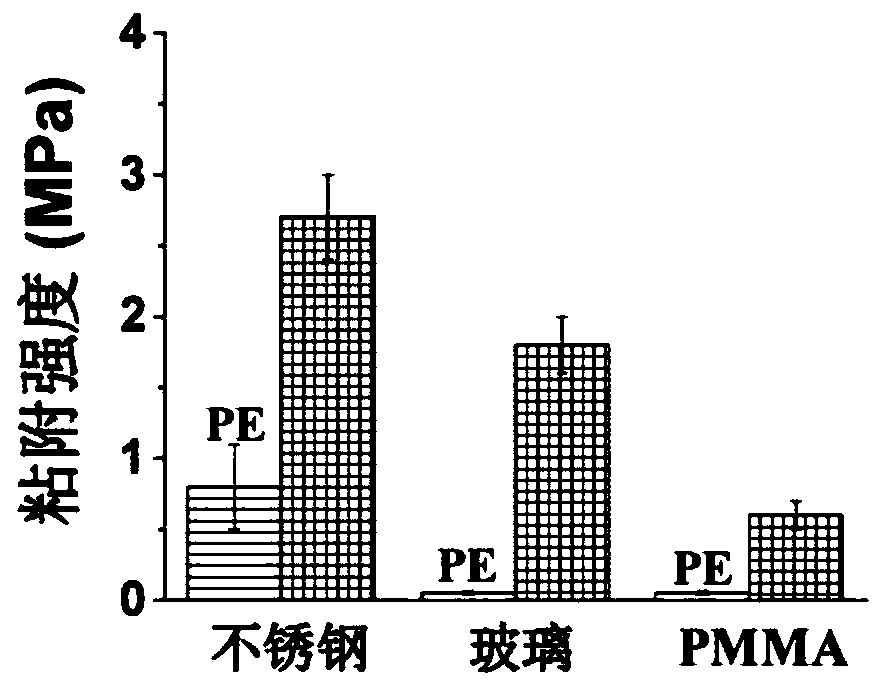 Multifunctional polar polyolefin material as well as metal complex material, preparation method and application thereof