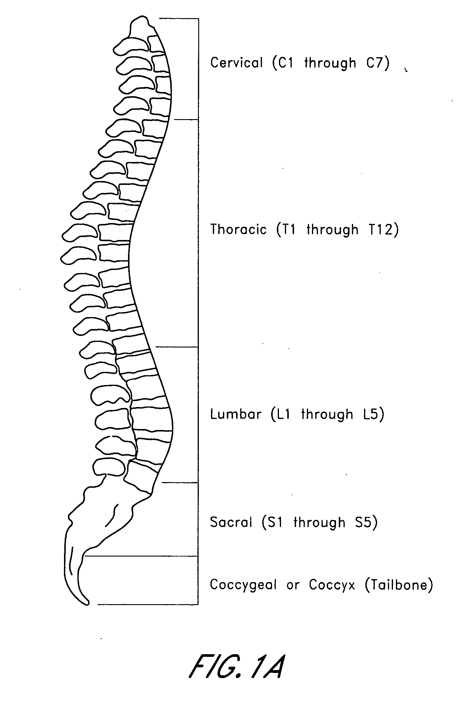 Exchange system for soft tissue access pathway