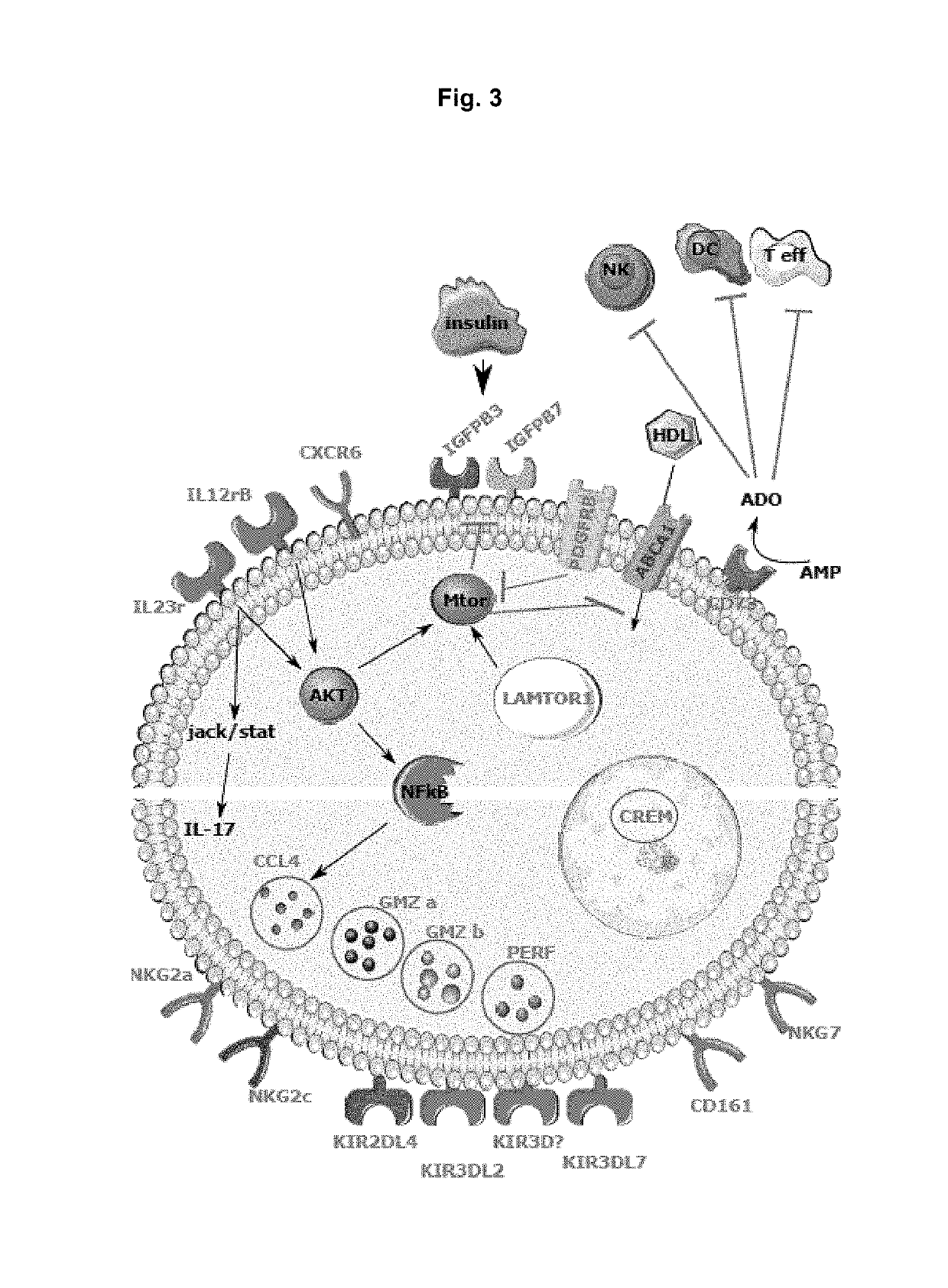 Treatments to eliminate HIV reservoirs and reduce viral load