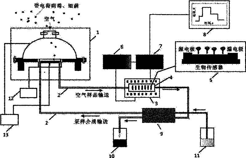 System and method for monitoring bioaerosol in real time