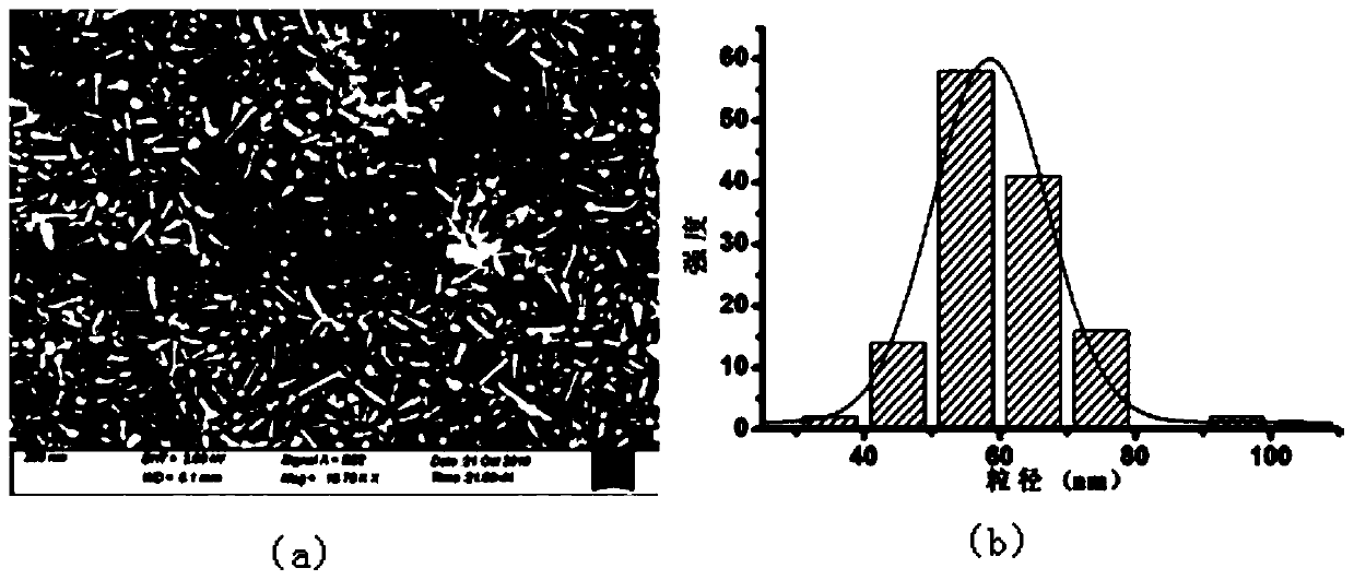 Cu2ZnBi2S3 nano-rod and application thereof