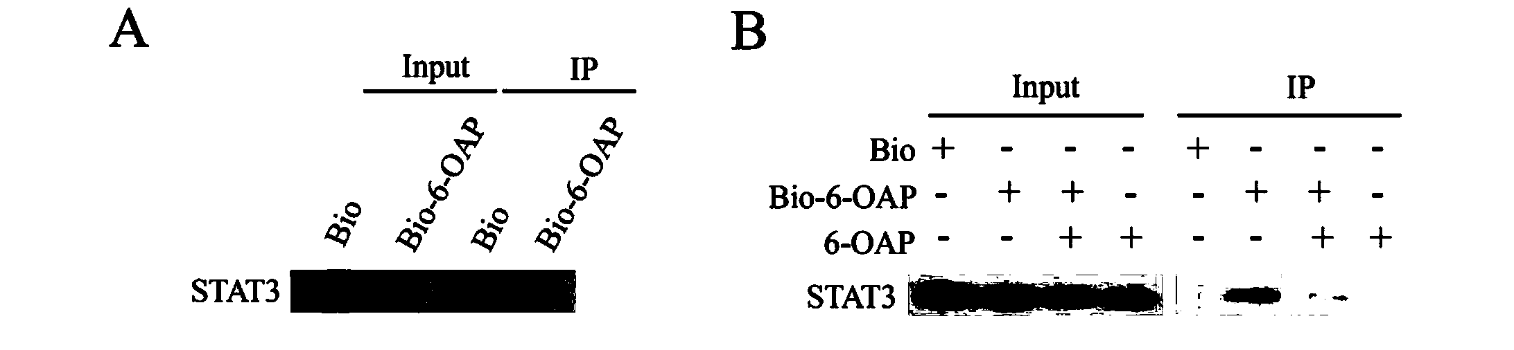 STAT3 inhibitor and application in pharmaceutical industry