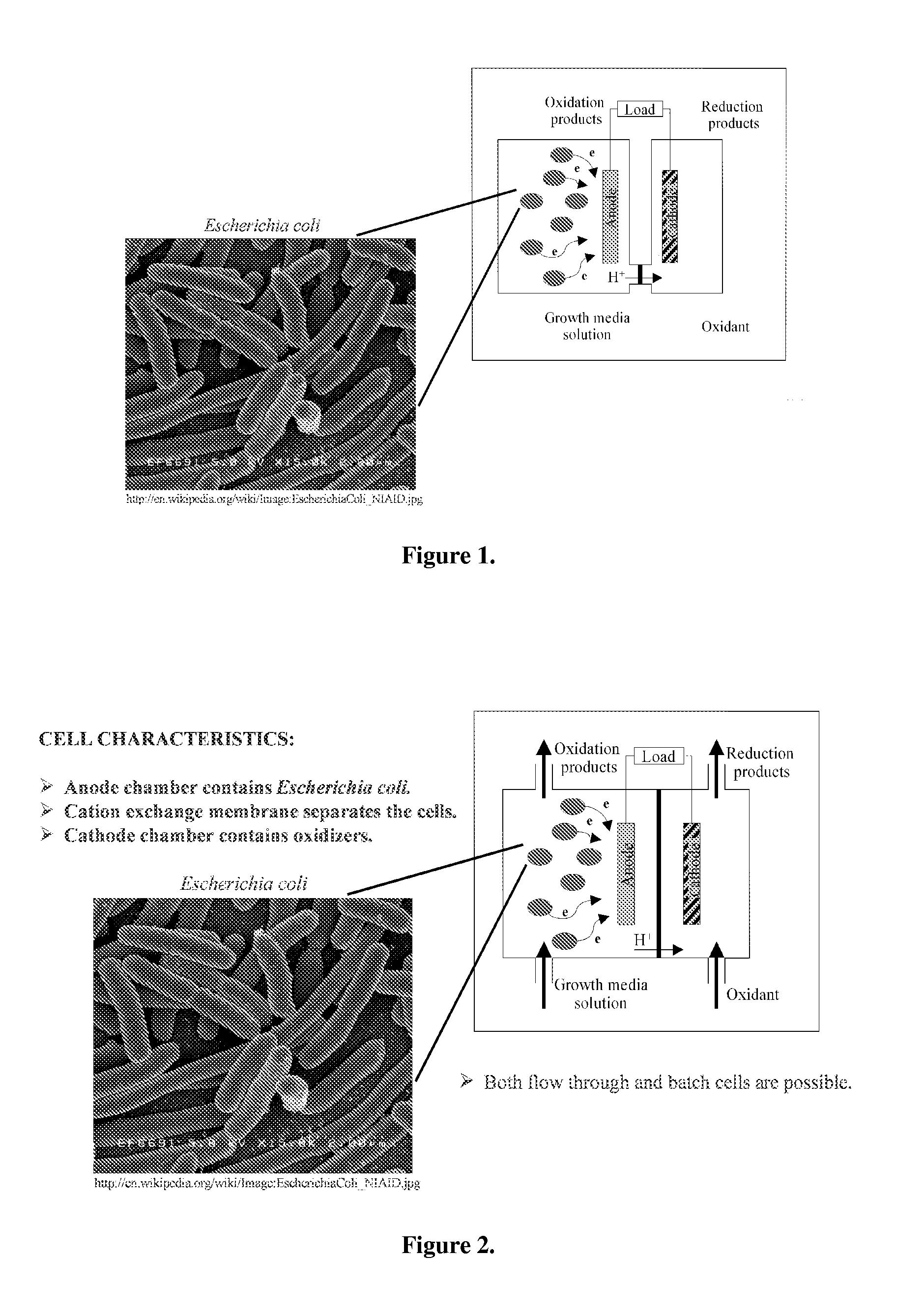 Microbial fuel cell