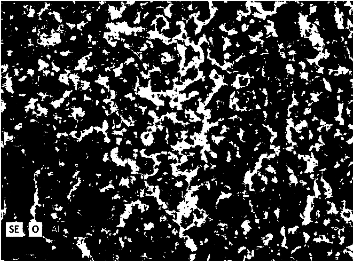 Ozone oxidation catalyst as well as preparation method and application thereof