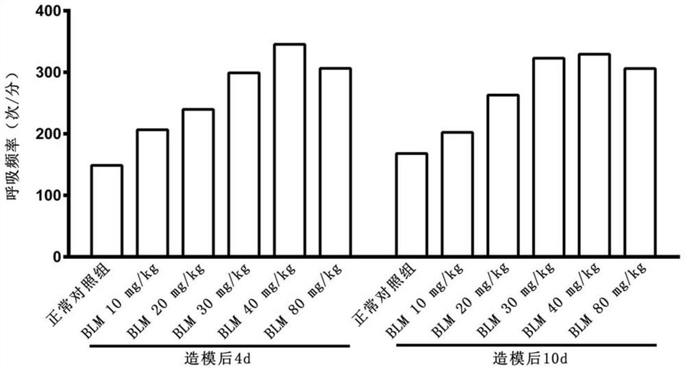 Rat lung injury model for different severity degrees and for achieving induction of different doses of bleomycin through tracheal inside spraying