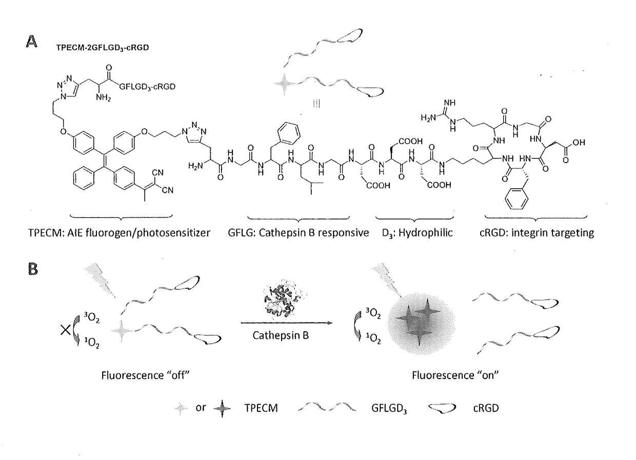 Polymers And Oligomers With Aggregation-Induced Emission Characteristics For Imaging And Image-Guided Therapy