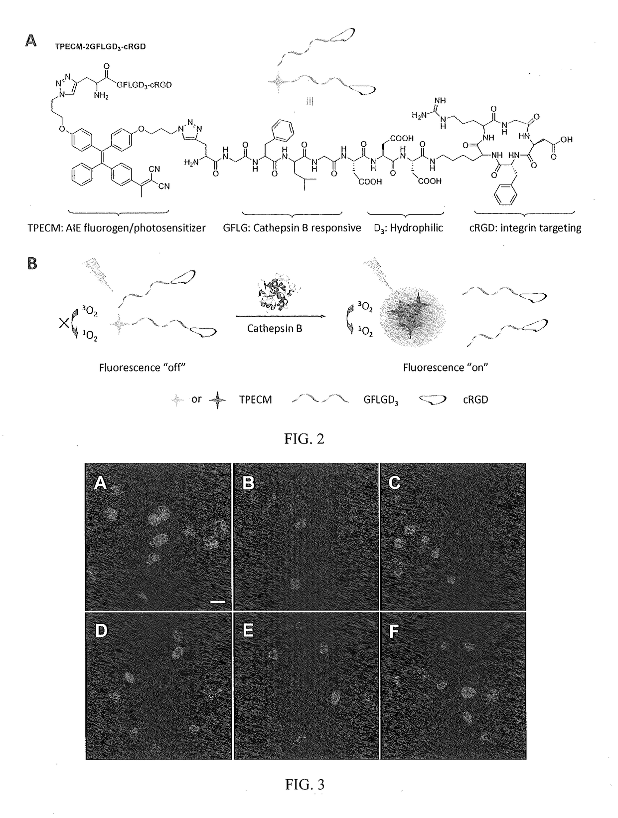 Polymers And Oligomers With Aggregation-Induced Emission Characteristics For Imaging And Image-Guided Therapy